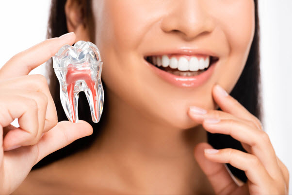 Your Confided in Dental Master in Singapore's Focal Locale